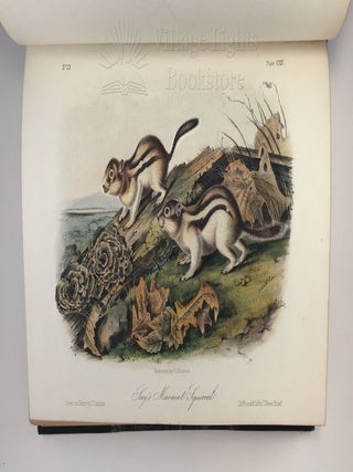 The Birds of America, from drawings made in the United States and their territories. - The Quadrupeds of North America. (Royal Octavo Edition)
