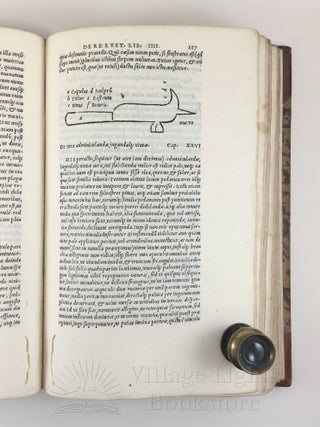 Libri de re rustica